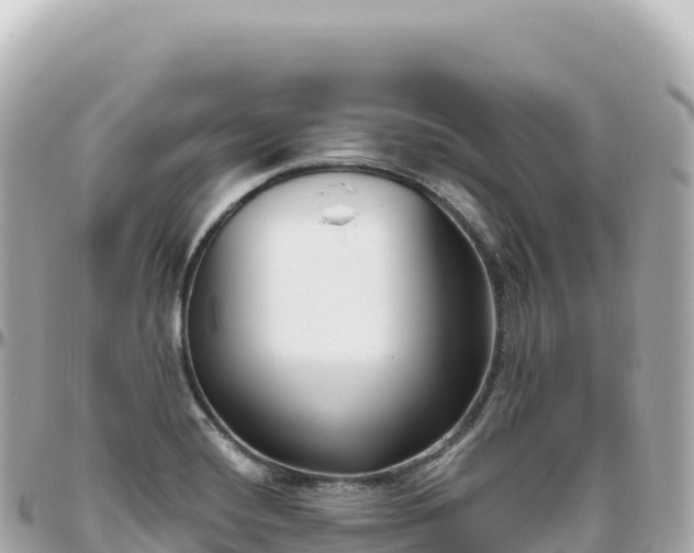 X0000095901420200801251214