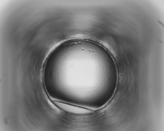 X0000095901421200801251214