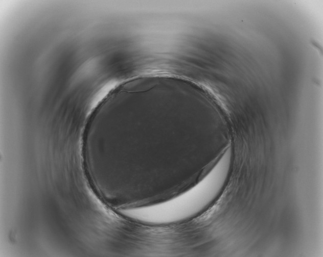 X0000095901422200801251214