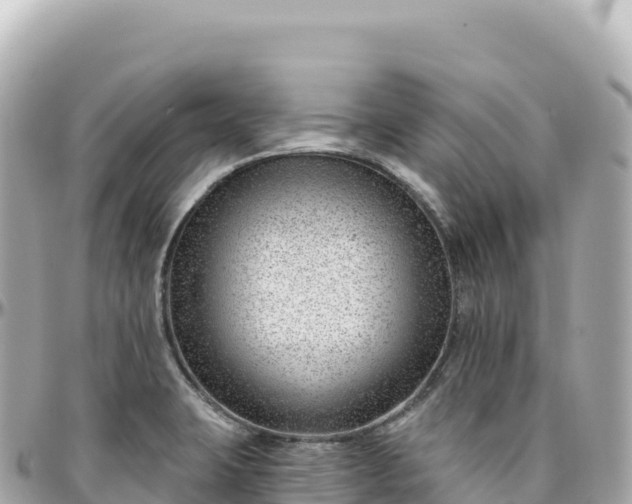 X0000095901423200801251214