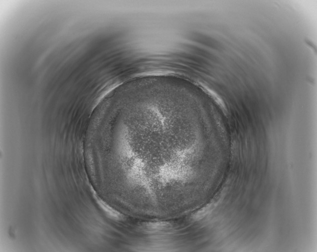 X0000095901425200801251214