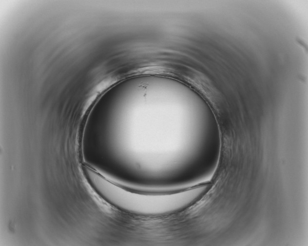 X0000095901426200801251214