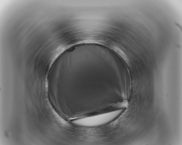 X0000095901428200801251215