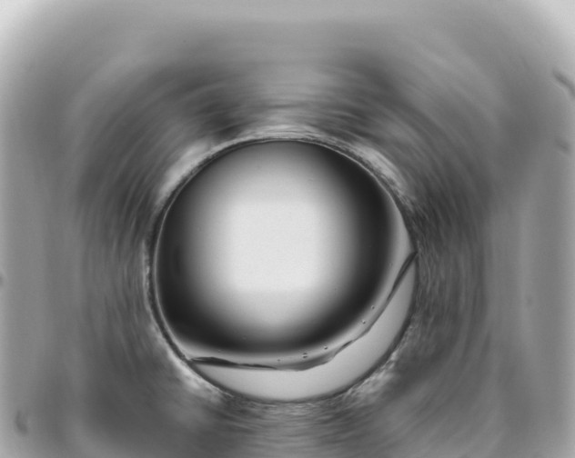 X0000095901430200801251215