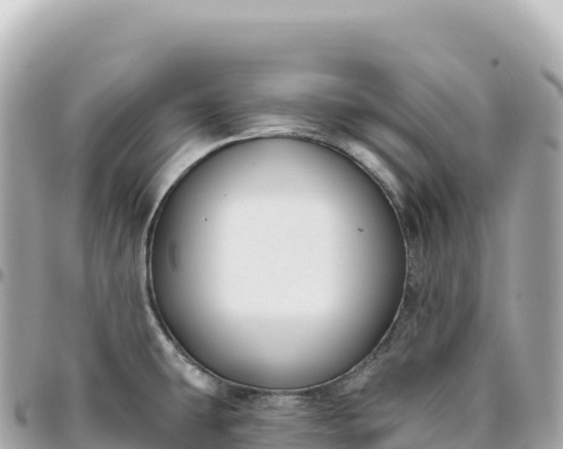 X0000095901431200801251215