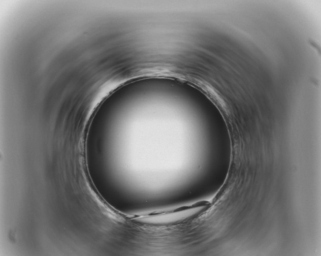 X0000095901432200801251215