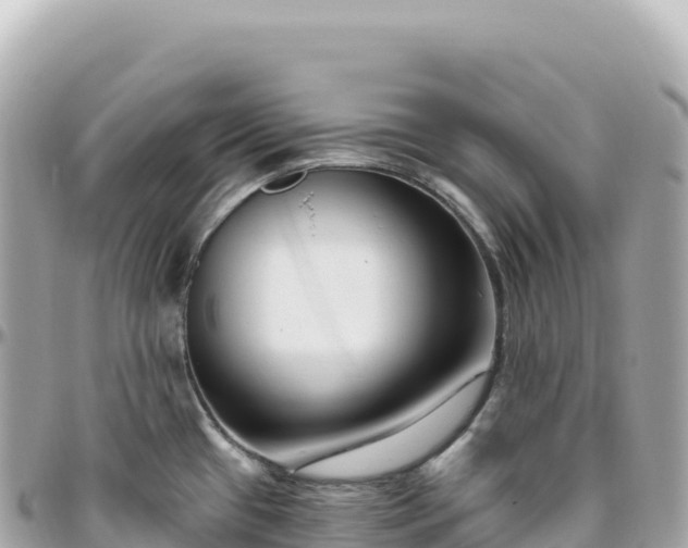 X0000095901433200801251215