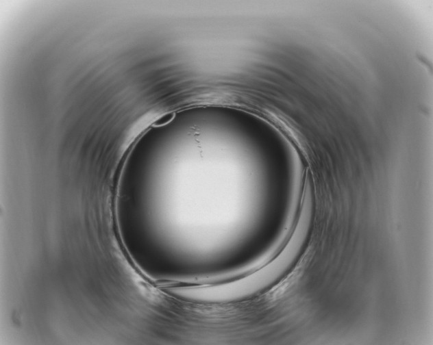 X0000095901434200801251215