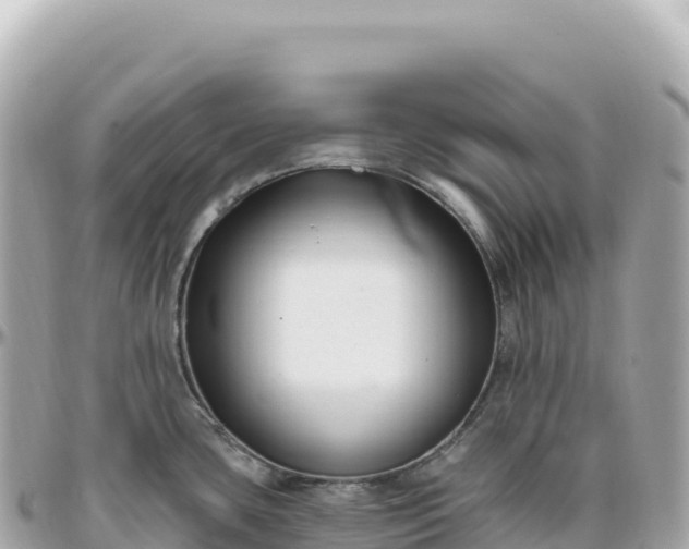 X0000095901435200801251215