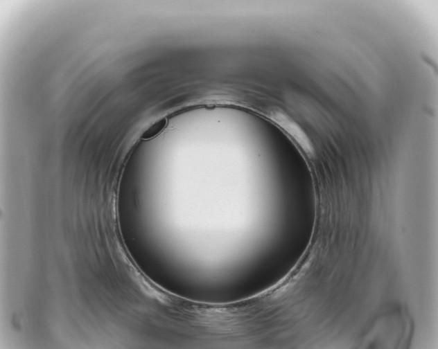 X0000095901436200801251215