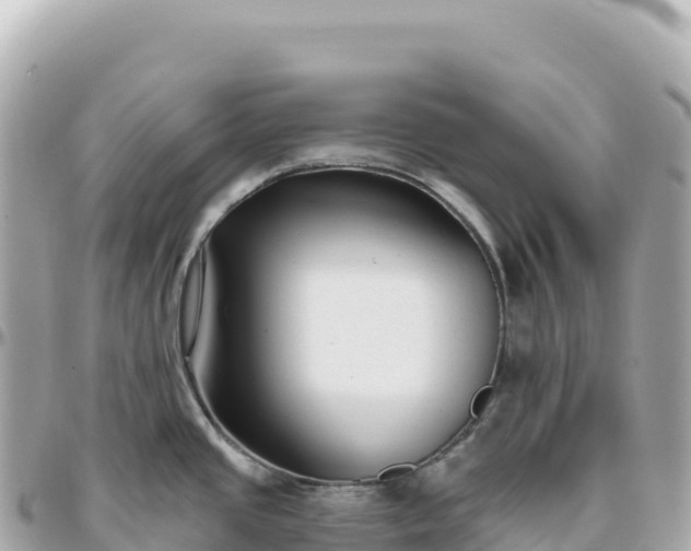 X0000095901437200801251215