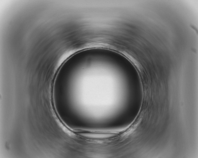 X0000095901438200801251215