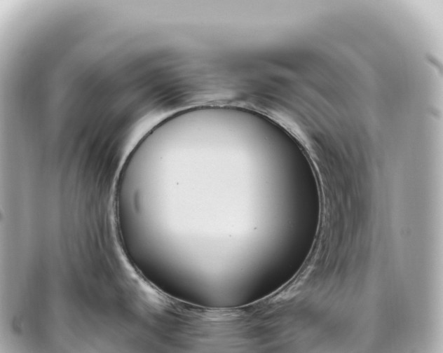 X0000095901440200801251215