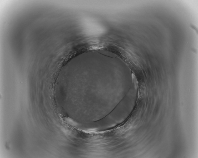 X0000095901441200801251214