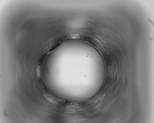 X0000095901442200801251214