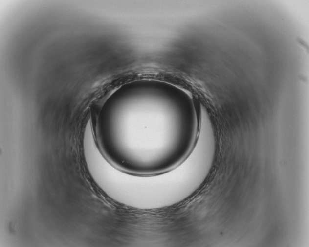 X0000095901445200801251214