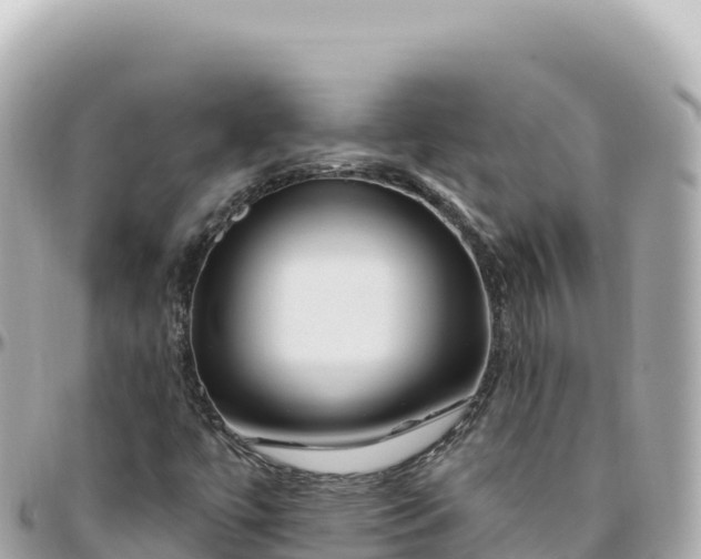 X0000095901447200801251214