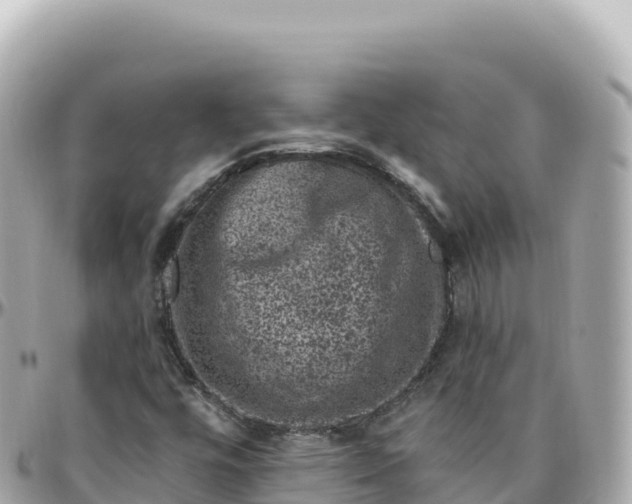 X0000095901448200801251214