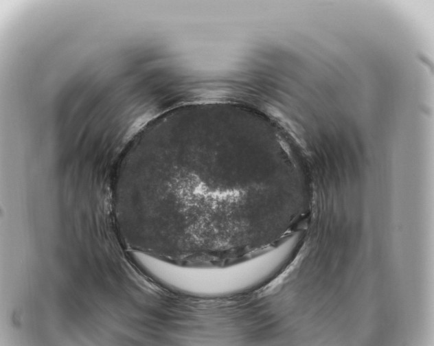 X0000095901449200801251214