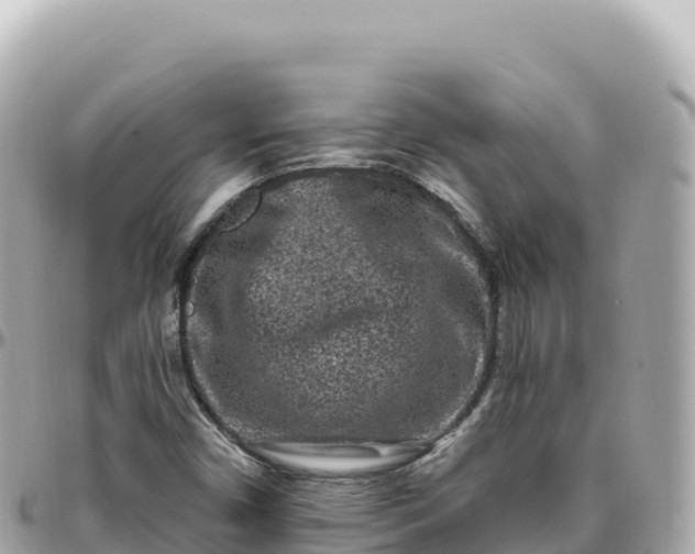 X0000095901450200801251214