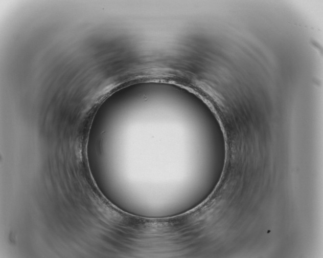 X0000095901451200801251214