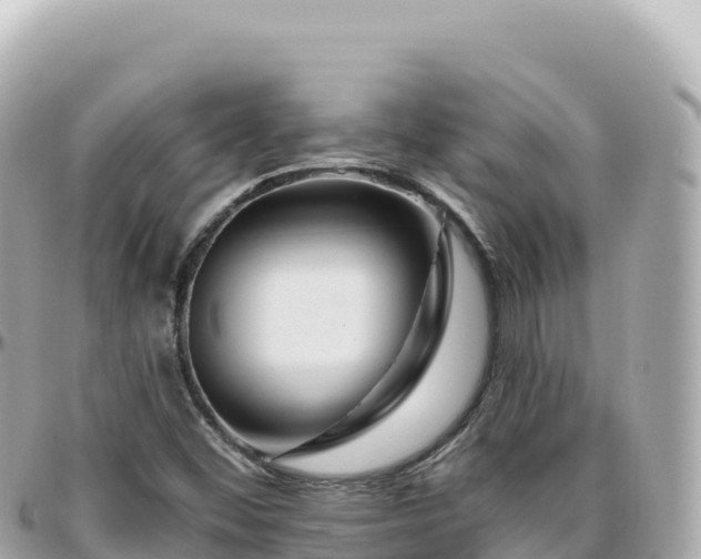 X0000095901452200801251214