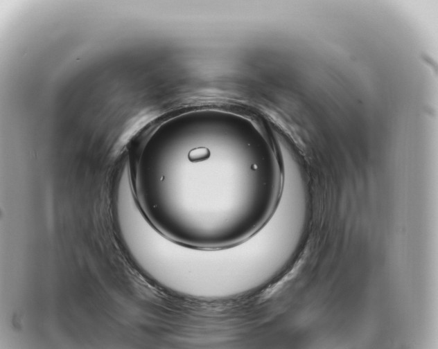 X0000095901453200801251214