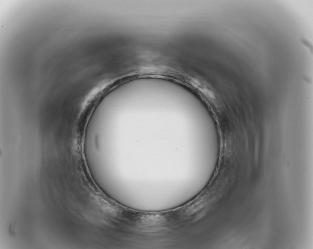 X0000095901454200801251214