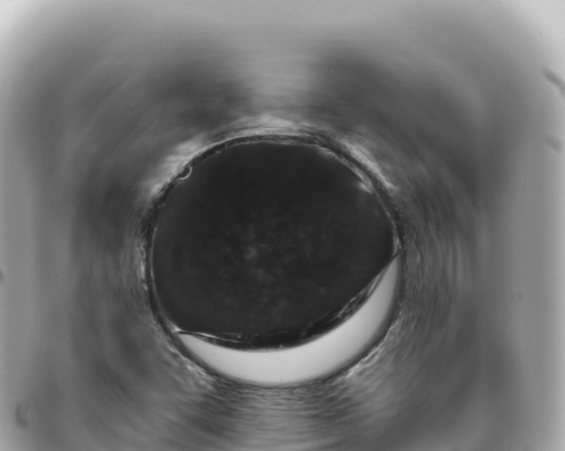 X0000095901455200801251214