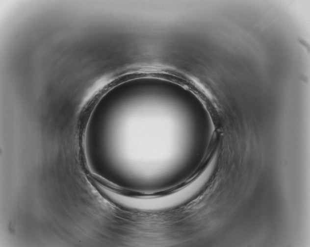 X0000095901456200801251214