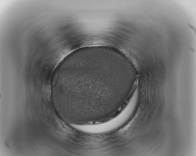 X0000095901457200801251214