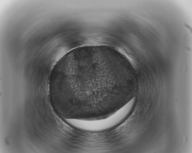 X0000095901459200801251214