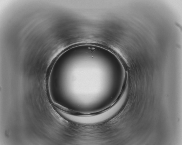 X0000095901460200801251214