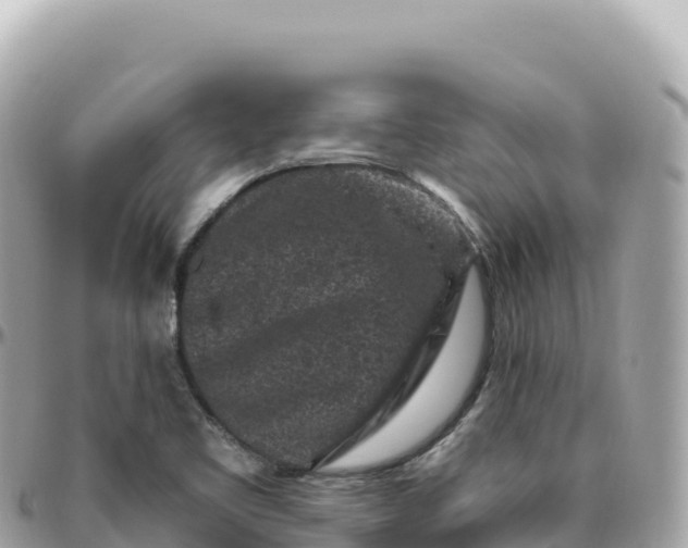 X0000095901461200801251214