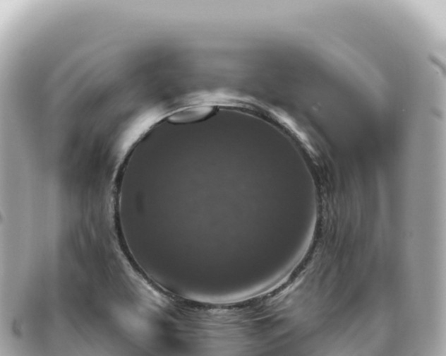 X0000095901463200801251214