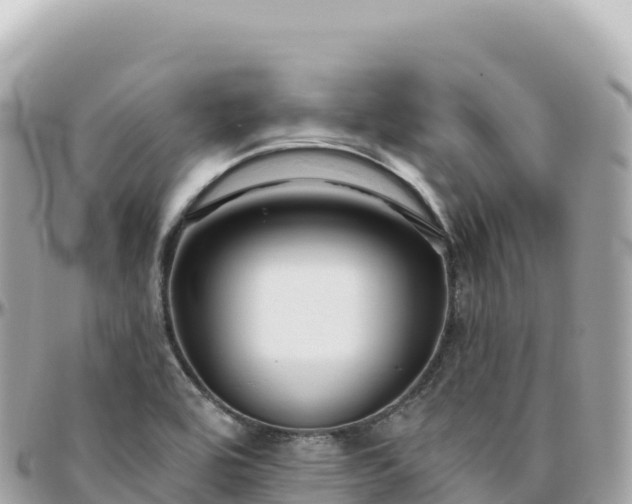 X0000095901464200801251214