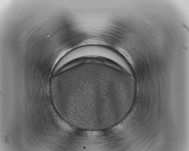 X0000095901465200801251214