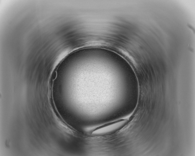 X0000095901467200801251214