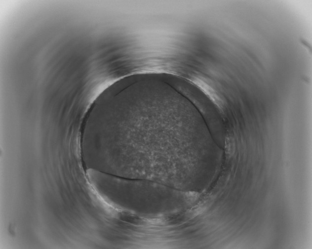 X0000095901468200801251214