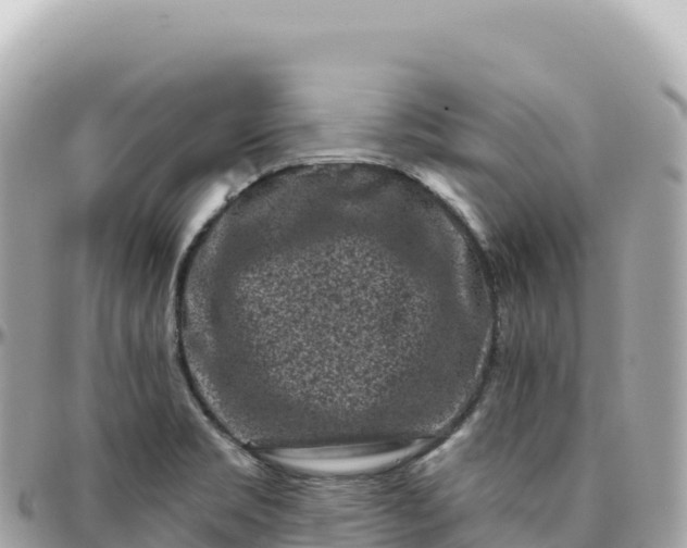 X0000095901469200801251214