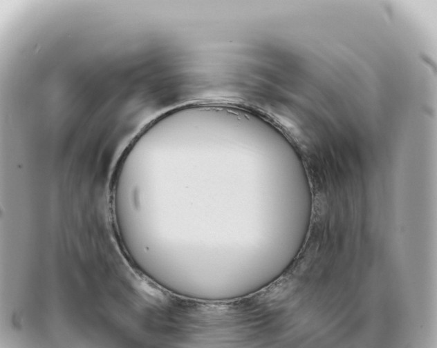 X0000095901470200801251214