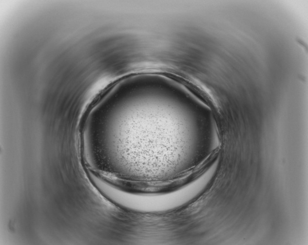 X0000095901472200801251214