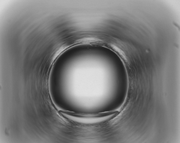 X0000095901473200801251214