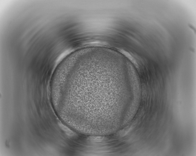 X0000095901474200801251214