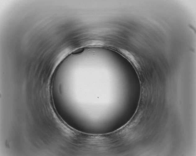 X0000095901475200801251214