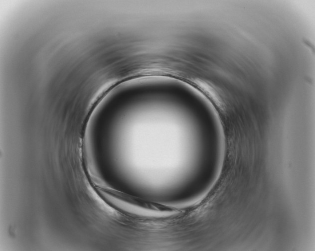 X0000095901476200801251214