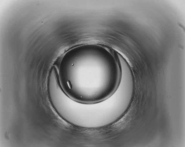 X0000095901477200801251214