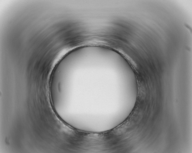 X0000095901478200801251214