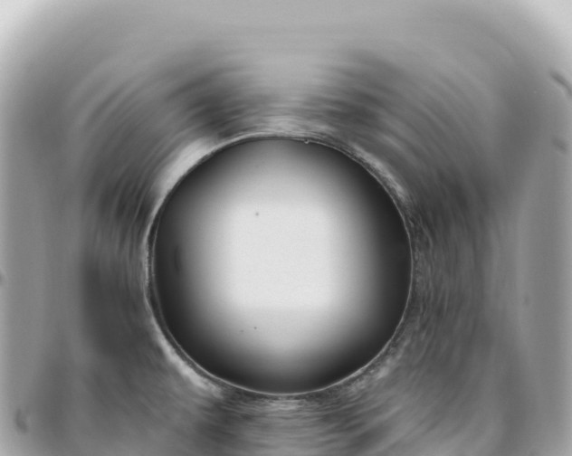 X0000095901479200801251214