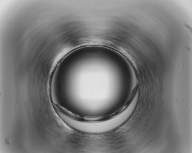 X0000095901480200801251214